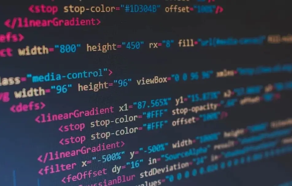 Website / App Development